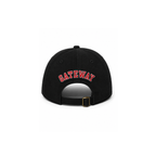 "Griffins" Dad Hat